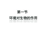 济南版八下生物  6.1.1环境对生物的作用  课件