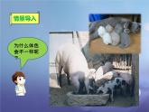 冀教版八下生物 6.2.2变异 课件