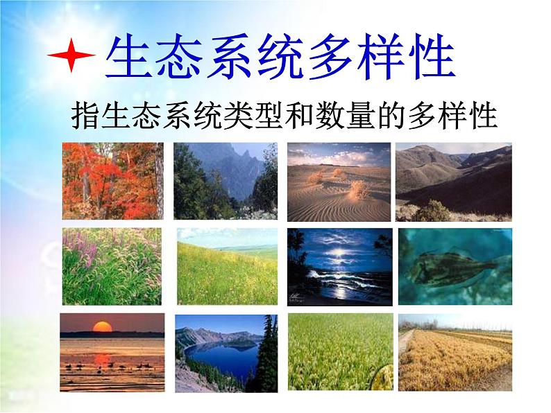 冀教版八下生物 7.3.3保护生物多样性 课件08