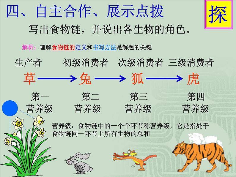 冀教版八下生物 7.2.2食物链和食物网 课件06