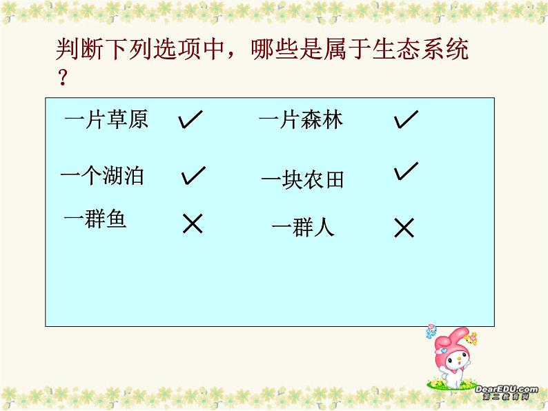 冀教版八下生物 7.2.1生态系统的组成和类型 课件第6页