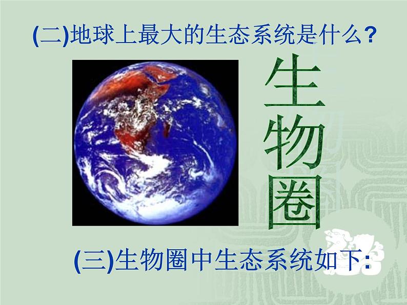 冀教版八下生物 7.2.1生态系统的组成和类型 课件第7页