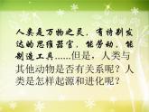 冀教版八下生物 6.3.3人类的起源 课件
