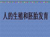 冀教版八下生物 6.1.3人的生殖和胚胎发育 课件