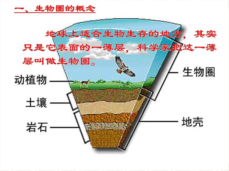 冀教版八下生物 7.2.3生物圈 课件04
