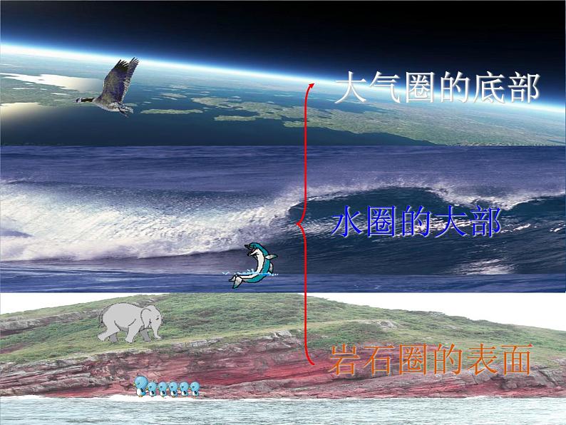 冀教版八下生物 7.2.3生物圈 课件06