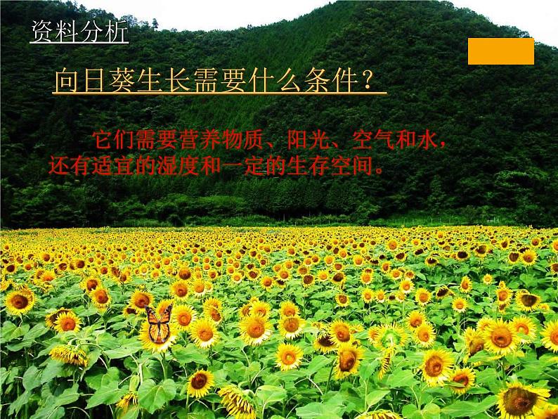 冀教版八下生物 7.2.3生物圈 课件08