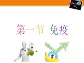 冀教版七下生物 6.1免疫 课件