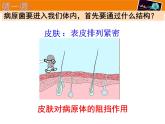 冀教版七下生物 6.1免疫 课件