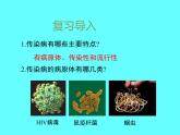 冀教版七下生物 6.2疾病与预防 课件