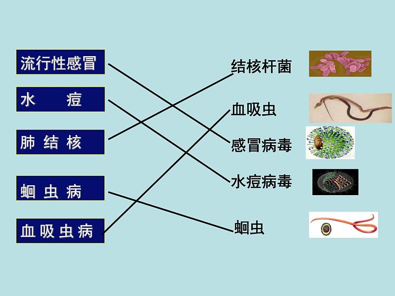 鲁科版（五四制）七下生物 5.1.1传染病及其预防 课件第6页