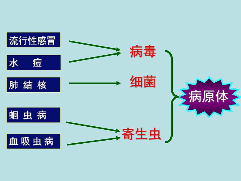 鲁科版（五四制）七下生物 5.1.1传染病及其预防 课件第7页