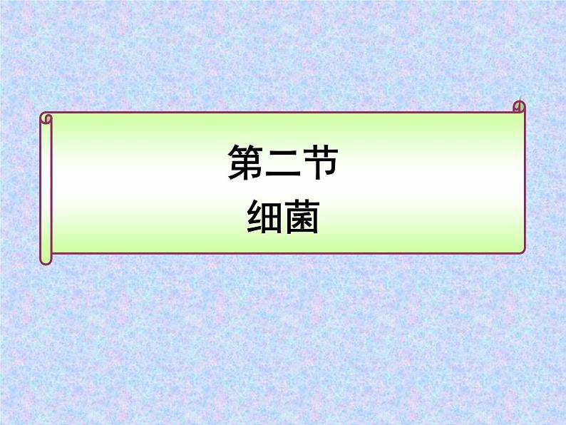 鲁科版（五四制）七下生物 6.1.2 细菌 课件01