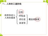 鲁科版（五四制）七下生物 5.1.2 免疫与计划免疫 课件