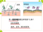 鲁科版（五四制）七下生物 5.1.2 免疫与计划免疫 课件