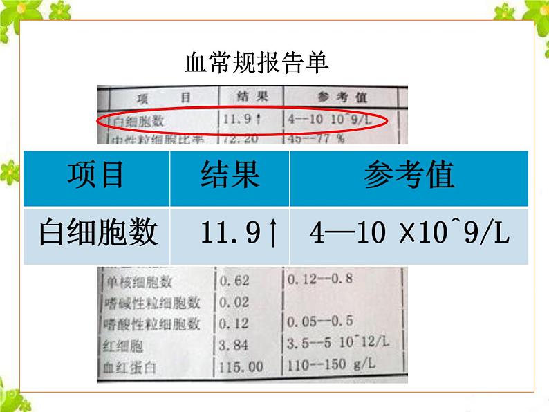 鲁科版（五四制）七下生物 5.1.2 免疫与计划免疫 课件06