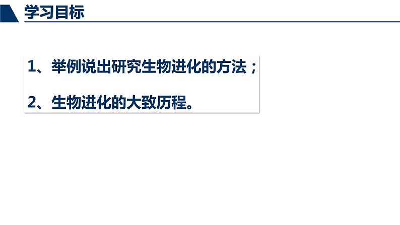 鲁科版（五四制）八下生物 8.3.2 生物进化的历程 课件07