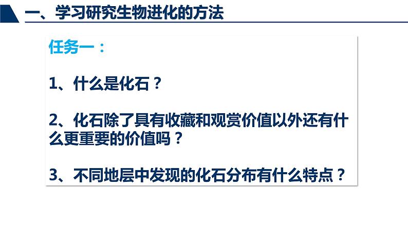 鲁科版（五四制）八下生物 8.3.2 生物进化的历程 课件08