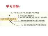 鲁科版（五四制）八下生物 8.2.2 基因控制生物的性状 课件