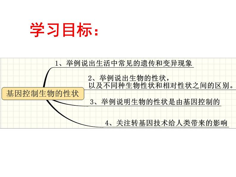 鲁科版（五四制）八下生物 8.2.2 基因控制生物的性状 课件02