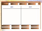 鲁科版（五四制）八下生物 8.2.2 基因控制生物的性状 课件