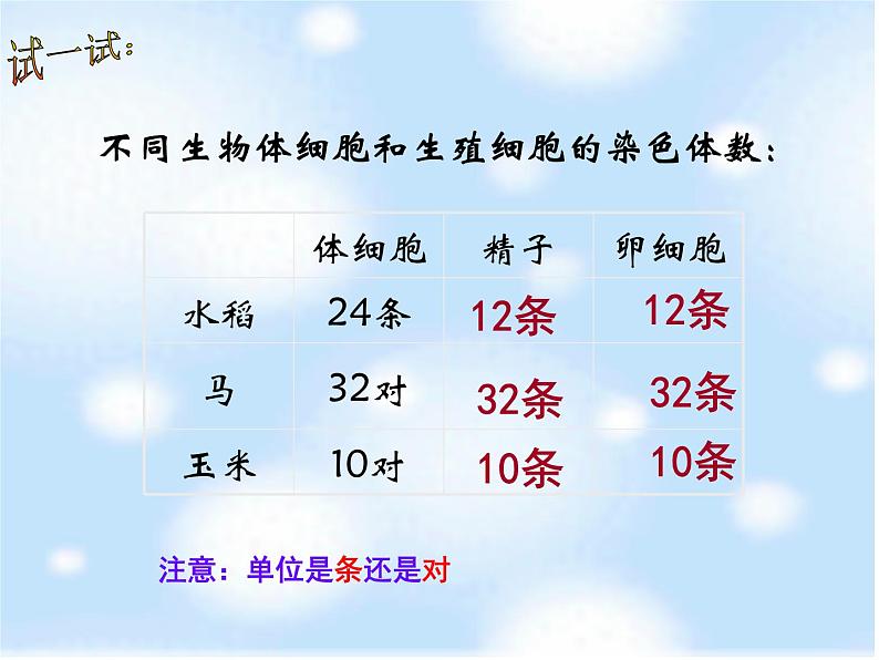 鲁科版（五四制）八下生物 8.2.3 基因在亲子代间的传递 课件03