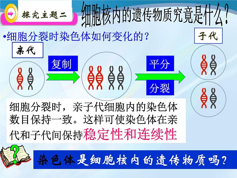 鲁科版（五四制）八下生物 8.2.1 遗传的物质基础  课件第8页