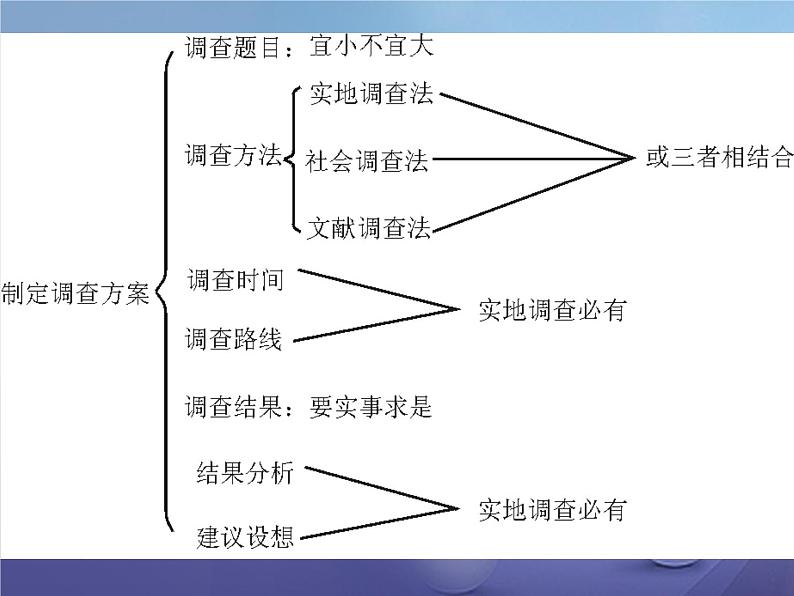 人教版七下生物 7.3拟定保护生态环境的计划 课件第8页