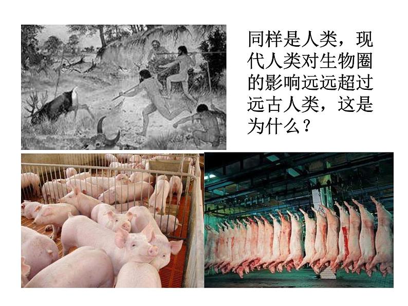 人教版七下生物 7.1分析人类活动对生态环境的影响 课件02