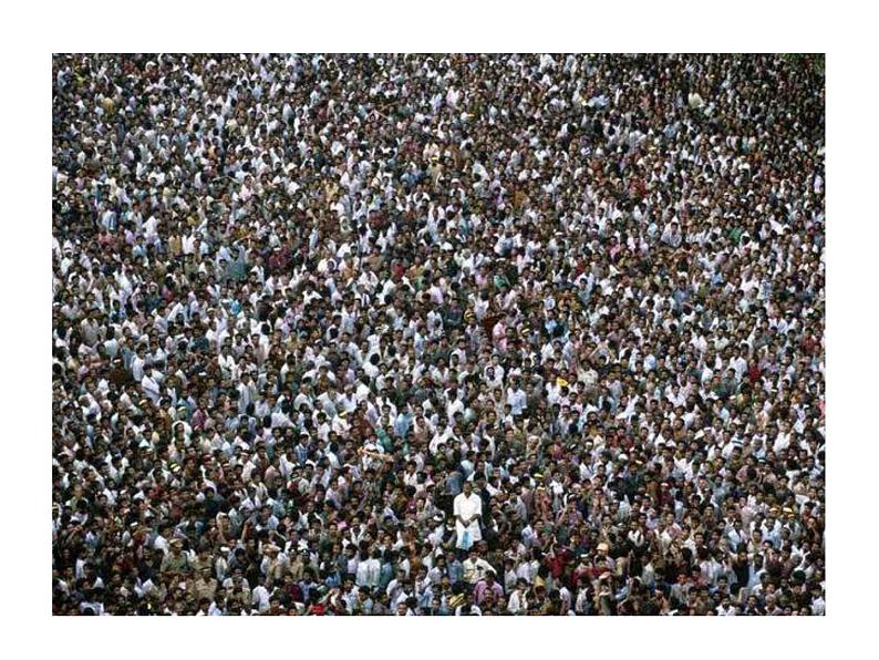 人教版七下生物 7.1分析人类活动对生态环境的影响 课件06