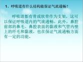 人教版七下生物 3.1呼吸道对空气的处理 课件