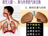 人教版七下生物 3.2发生在肺内的气体交换 课件