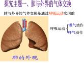 人教版七下生物 3.2发生在肺内的气体交换 课件