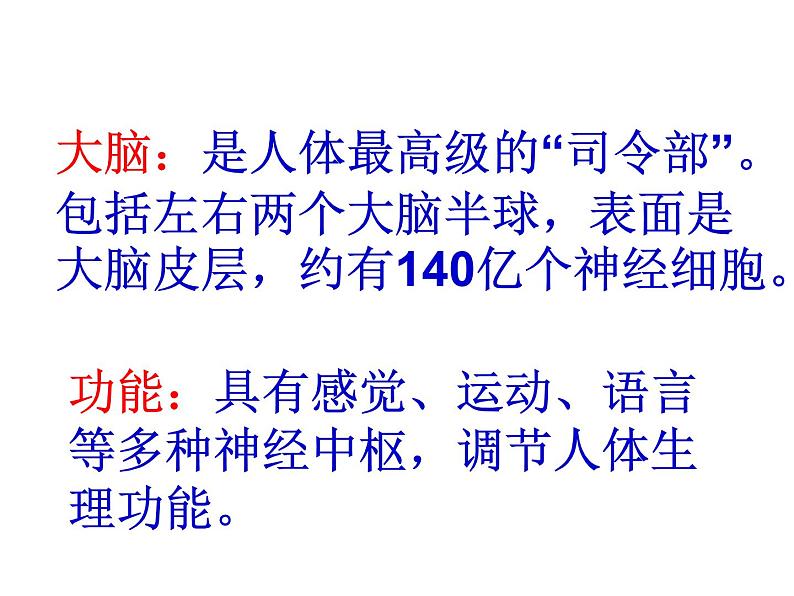 人教版七下生物 6.2神经系统的组成 课件第5页