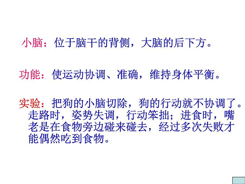 人教版七下生物 6.2神经系统的组成 课件第8页