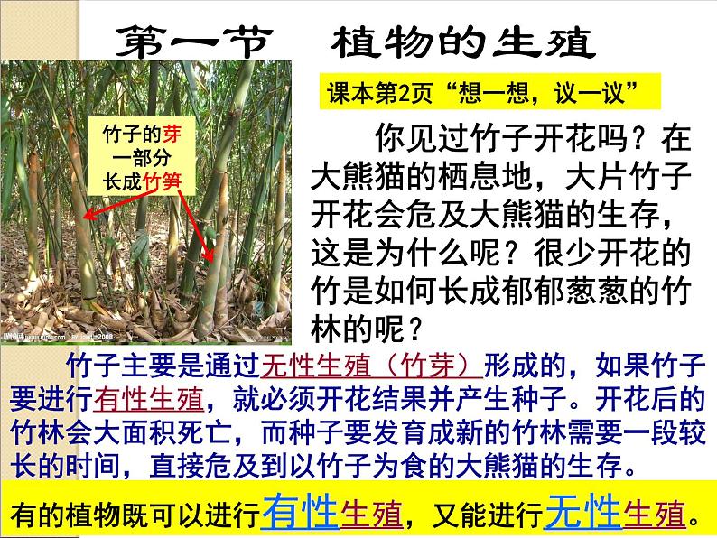 人教版八下生物 7.1.1植物的生殖 课件第4页