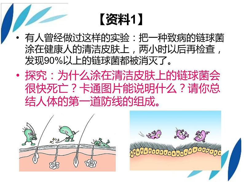 人教版八下生物 8.1.2免疫与计划免疫 课件04