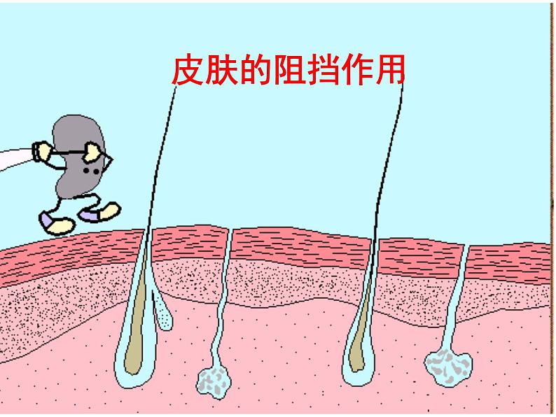 人教版八下生物 8.1.2免疫与计划免疫 课件05