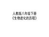 人教版八下生物 7.3.2生物进化的历程 课件
