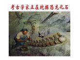 人教版八下生物 7.3.2生物进化的历程 课件