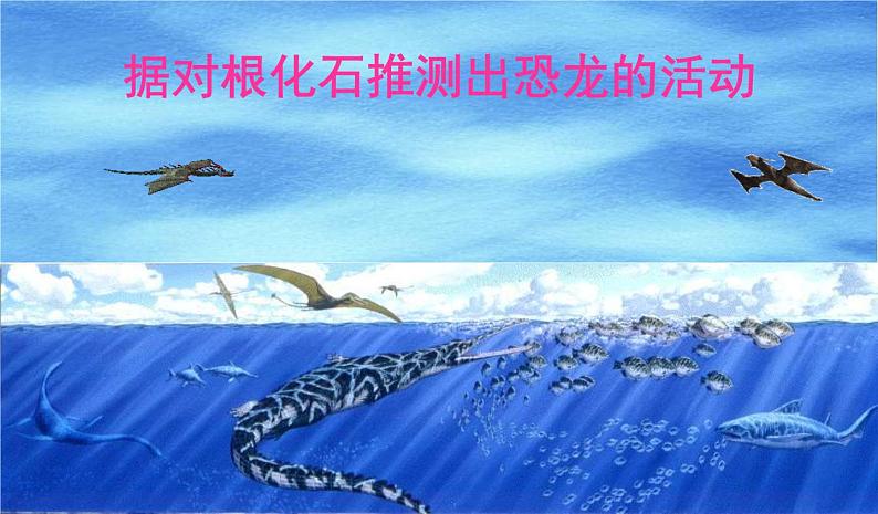 人教版八下生物 7.3.2生物进化的历程 课件05