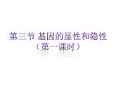 人教版八下生物 7.2.3基因的显性和隐性 课件