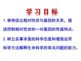 人教版八下生物 7.2.3基因的显性和隐性 课件