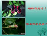 人教版八下生物 7.1.2昆虫的生殖和发育 课件