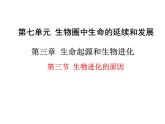 人教版八下生物 7.3.3生物进化的原因 课件