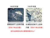 人教版八下生物 7.3.3生物进化的原因 课件