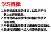 人教版八下生物 7.2.1基因控制生物的性状 课件