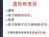 人教版八下生物 7.2.1基因控制生物的性状 课件