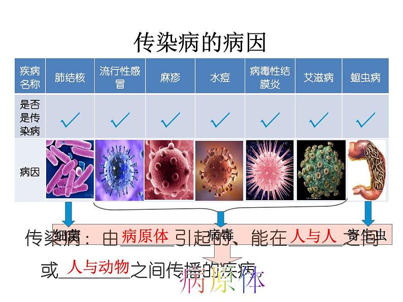 人教版八下生物 8.1.1传染病及其预防 课件04