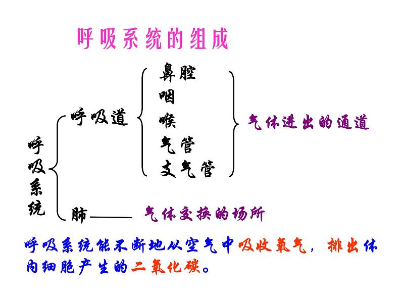 苏教版七下生物 10.3人体和外界环境的气体交换 课件04